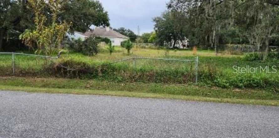 Land in Orlando, Florida № 1564289