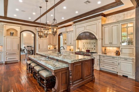 Villa ou maison à vendre à Windermere, Floride: 7 chambres, 1510.31 m2 № 1901858 - photo 14