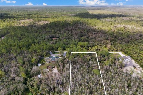 Land in Naples, Florida № 2272791 - photo 13