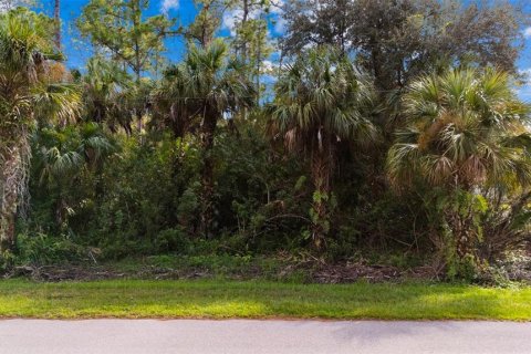 Land in Naples, Florida № 2272791 - photo 3