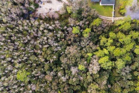 Land in Naples, Florida № 2272791 - photo 2