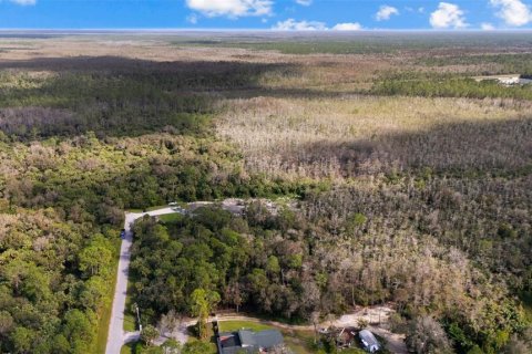 Land in Naples, Florida № 2272791 - photo 8