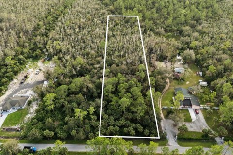 Land in Naples, Florida № 2272791 - photo 11