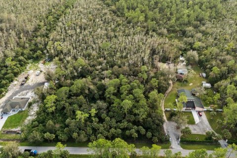 Land in Naples, Florida № 2272791 - photo 4
