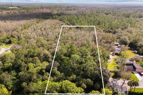 Land in Naples, Florida № 2272791 - photo 14