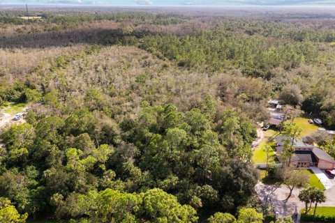 Land in Naples, Florida № 2272791 - photo 10