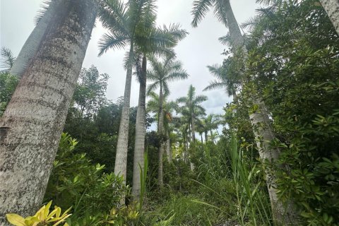 Immobilier commercial à vendre à Homestead, Floride № 2020957 - photo 4