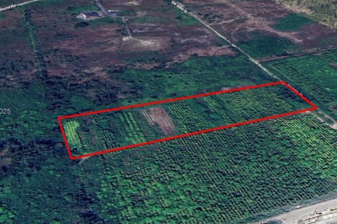 Immobilier commercial à vendre à Homestead, Floride № 2020957 - photo 3