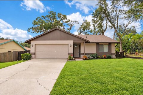 Villa ou maison à Apopka, Floride 3 chambres, 159.05 m2 № 2407136