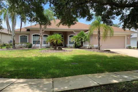 House in Palm Coast, Florida 4 bedrooms, 260.96 sq.m. № 1866809 - photo 1
