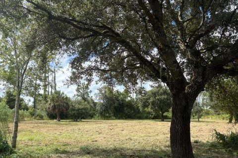 Immobilier commercial à Okeechobee, Floride № 2193650