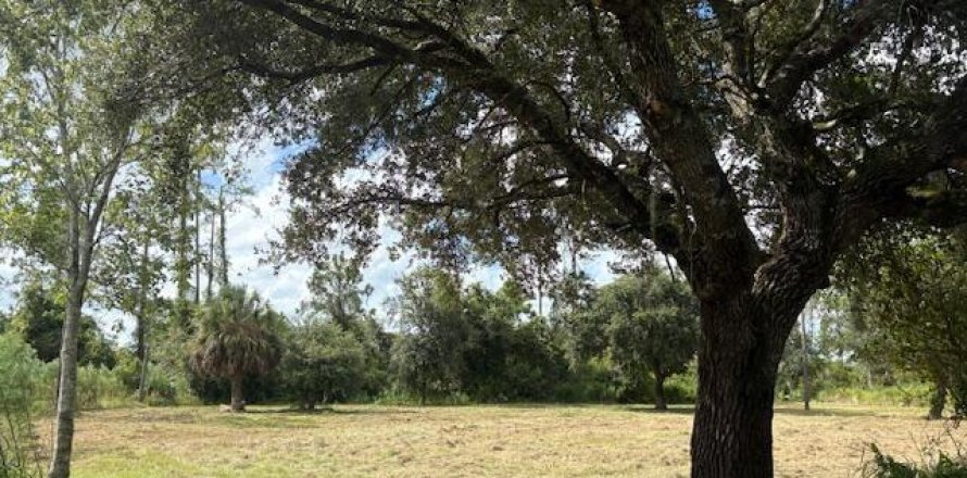 Immobilier commercial à Okeechobee, Floride № 2193650