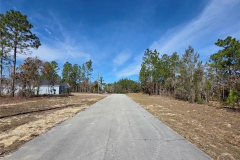 Land in Ocala, Florida № 2160571 - photo 3