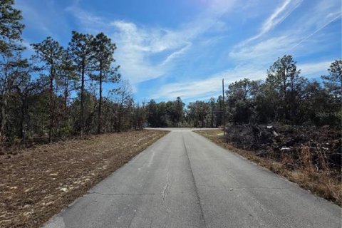Land in Ocala, Florida № 2160571 - photo 4