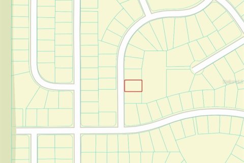 Land in Ocala, Florida № 2160571 - photo 5