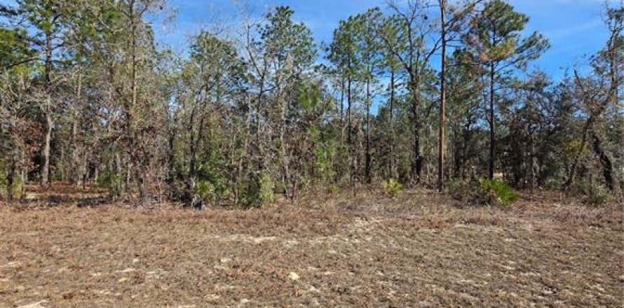 Land in Ocala, Florida № 2160571