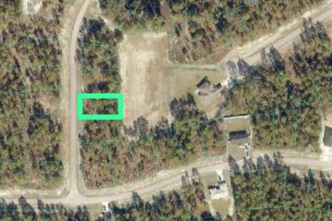 Land in Ocala, Florida № 2160571 - photo 2