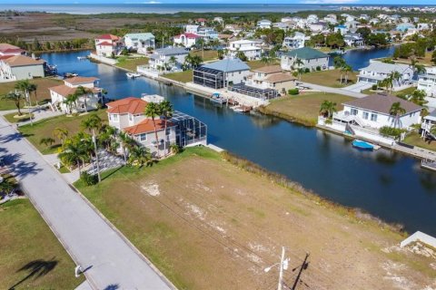 Land in Hernando Beach, Florida № 861379 - photo 1