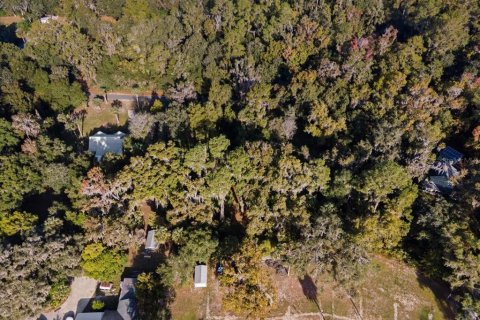 Land in Gainesville, Florida № 2103029 - photo 8
