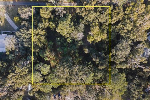 Land in Gainesville, Florida № 2103029 - photo 6