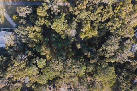 Land in Gainesville, Florida № 2103029 - photo 5