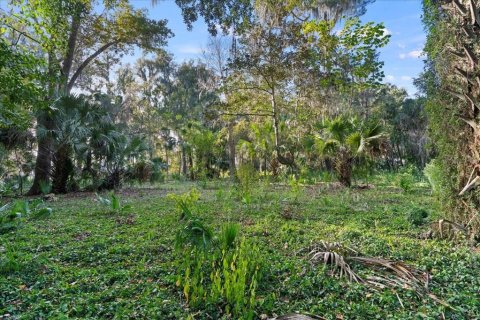 Land in Gainesville, Florida № 2103029 - photo 2