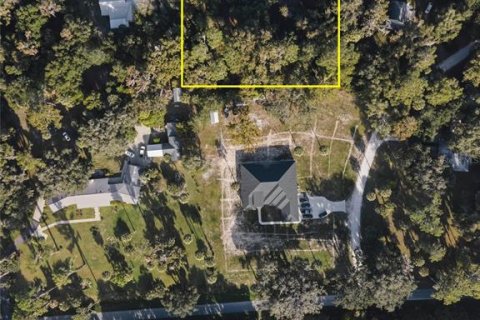 Land in Gainesville, Florida № 2103029 - photo 4