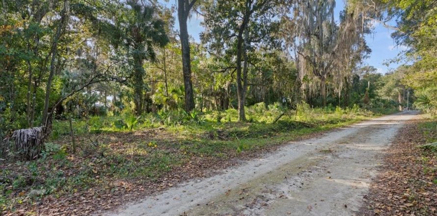 Land in Gainesville, Florida № 2103029