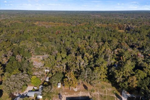 Land in Gainesville, Florida № 2103029 - photo 9