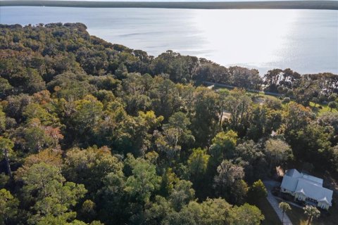 Land in Gainesville, Florida № 2103029 - photo 11