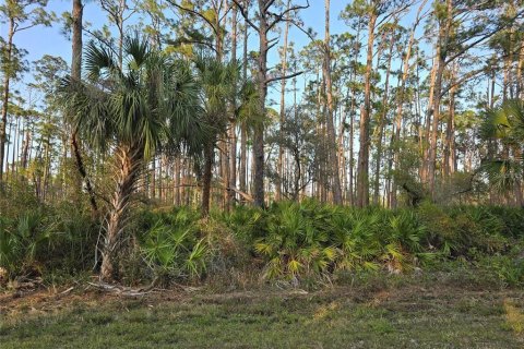 Land in Port Charlotte, Florida № 2239506
