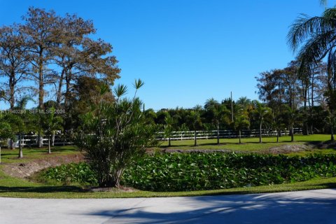 Villa ou maison à louer à Parkland, Floride: 4 chambres, 367.99 m2 № 2001150 - photo 29