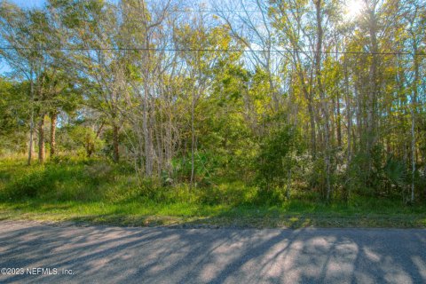 Land in Saint Augustine, Florida № 875703 - photo 1