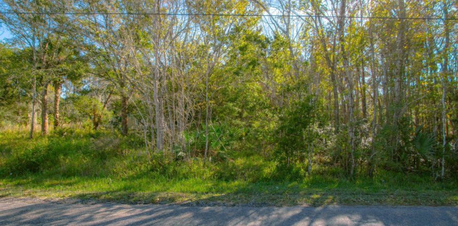 Land in Saint Augustine, Florida № 875703