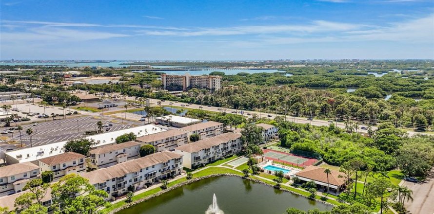 Condo in Saint Petersburg, Florida, 2 bedrooms  № 2214731