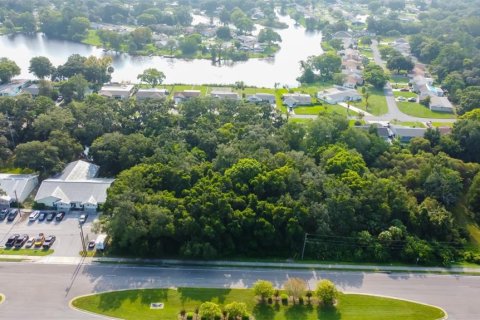 Land in New Port Richey, Florida № 1901486 - photo 10