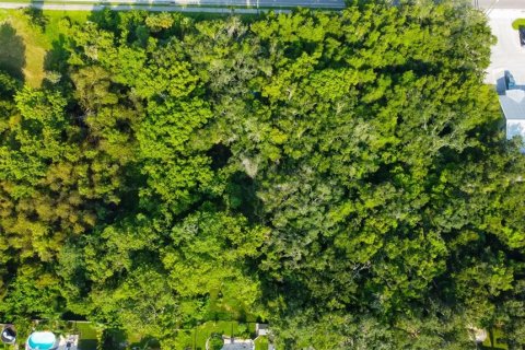 Land in New Port Richey, Florida № 1901486 - photo 21