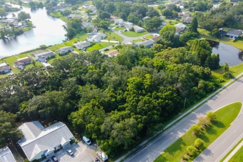Land in New Port Richey, Florida № 1901486 - photo 9