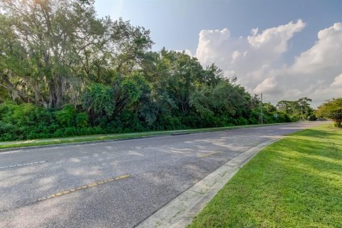 Land in New Port Richey, Florida № 1901486 - photo 1