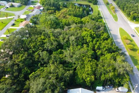 Land in New Port Richey, Florida № 1901486 - photo 6