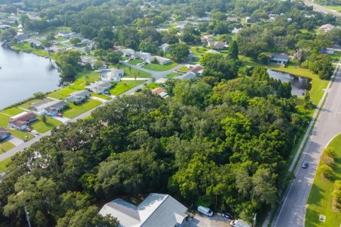 Land in New Port Richey, Florida № 1901486 - photo 8