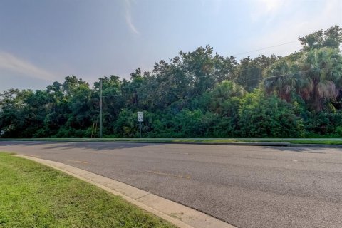 Land in New Port Richey, Florida № 1901486 - photo 2