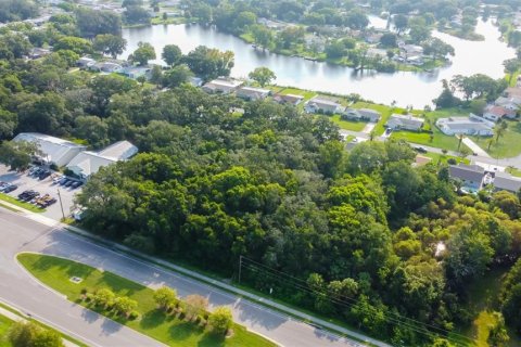 Land in New Port Richey, Florida № 1901486 - photo 11