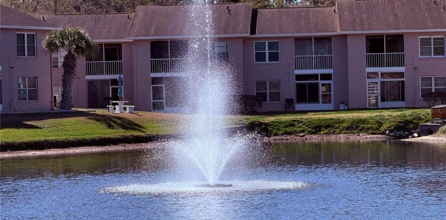 Condominio en New Port Richey, Florida, 2 dormitorios  № 2097730