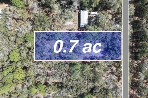 Land in Trenton, Florida № 2351624