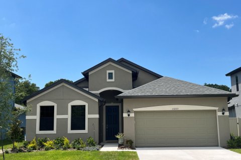 Villa ou maison à vendre à Zephyrhills, Floride: 3 chambres, 194 m2 № 394045 - photo 1