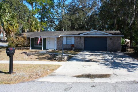 House in Deltona, Florida 2 bedrooms, 120.59 sq.m. № 2109197