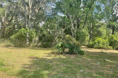 House in Gainesville, Florida 3 bedrooms, 117.89 sq.m. № 2198859 - photo 24