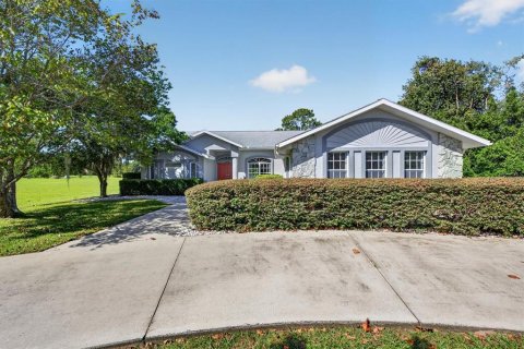 Villa ou maison à Inverness, Floride 3 chambres, 177.44 m2 № 2434549