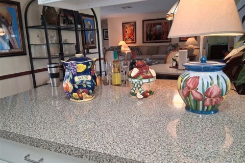 Condominio en alquiler en New Port Richey, Florida, 2 dormitorios, 160.54 m2 № 2345166 - foto 9